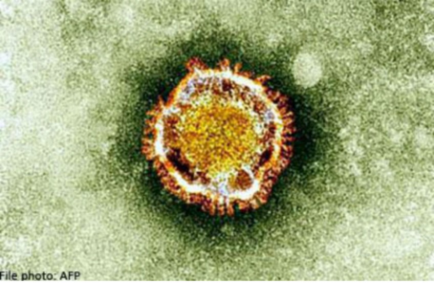 Malaysian dies from Mid-East respiratory virus