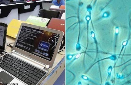 Laptop Wi-Fi said to nuke sperm