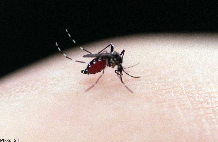 Drug-resistant malaria spreading fast in Southeast Asia