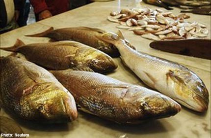 Fish tied to lower colon cancer risk: Study
