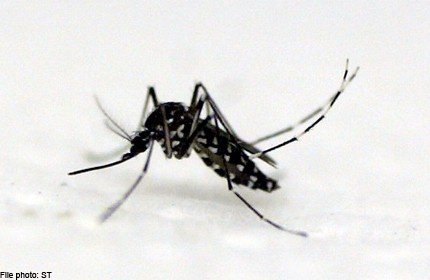 Breakthrough in Chikungunya fever by A*STAR researchers
