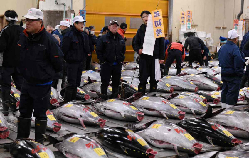 Japan's Tsukiji fish market to stop tourist tuna viewings as it prepares to relocate