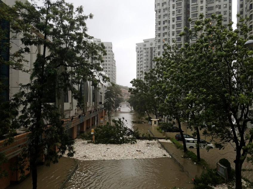 Massive clean-up in Hong Kong after Typhoon Mangkhut brings trail of destruction