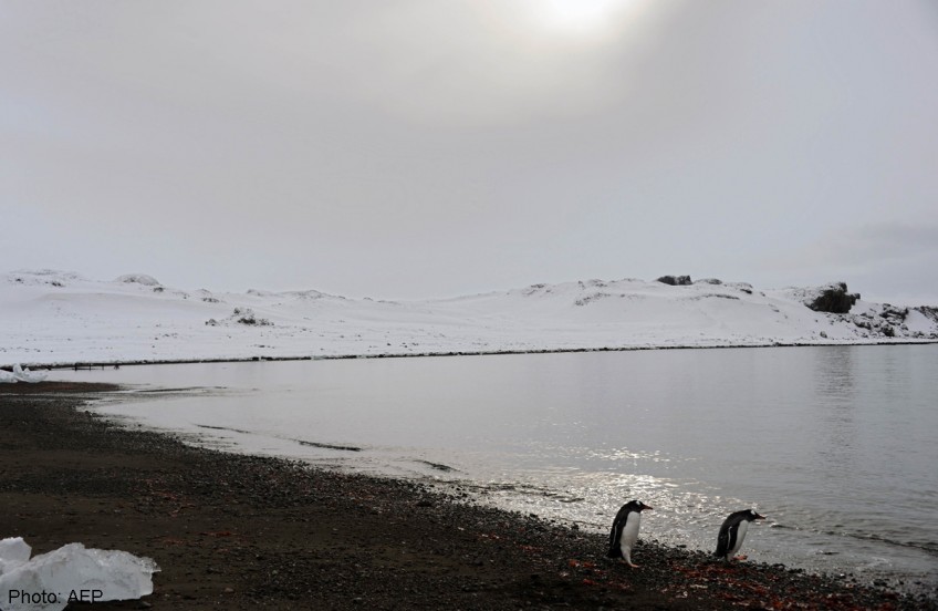 Warm ocean melting East Antarctica's largest glacier