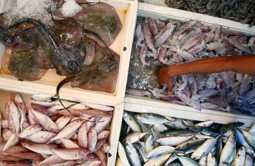 Get a taste of sustainable seafood
