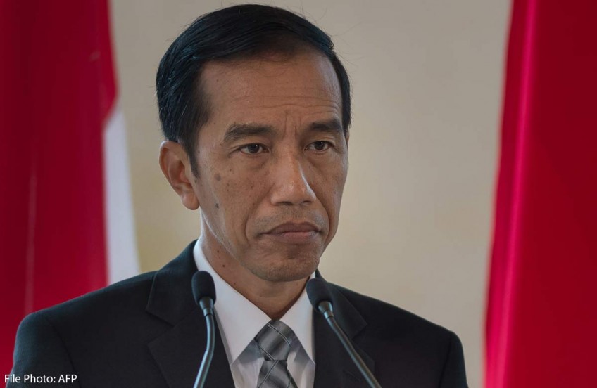 Indonesian leader insists death penalty 'positive' for country