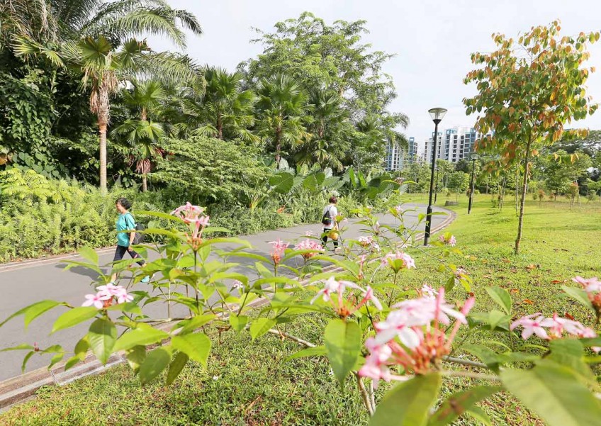 Singapore's parks and what you can do in them