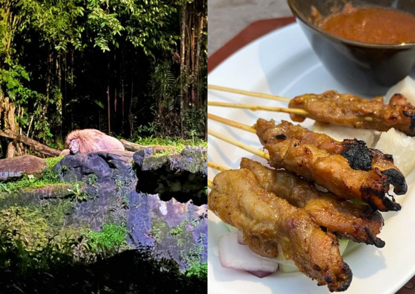 Food hunt at Singapore theme parks: Night Safari