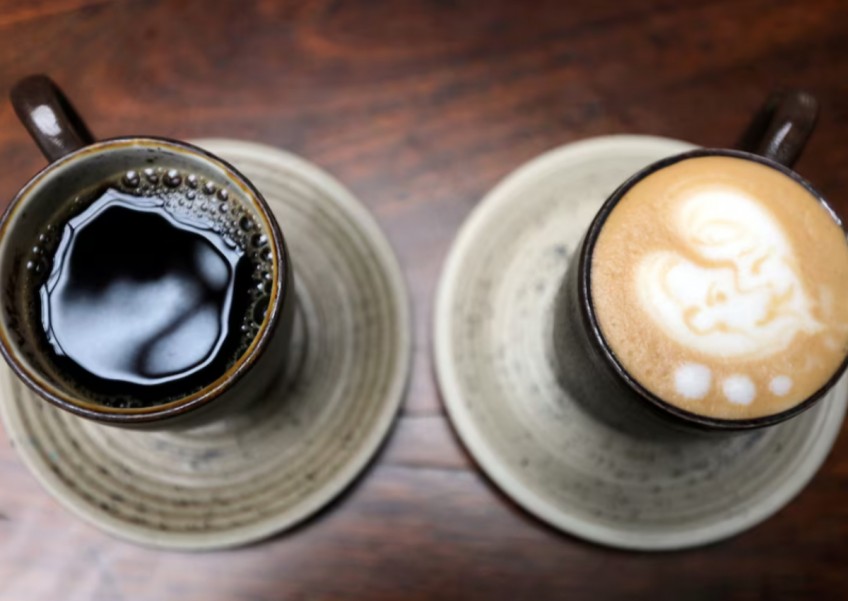 Genome study reveals prehistoric Ethiopian origins of coffee