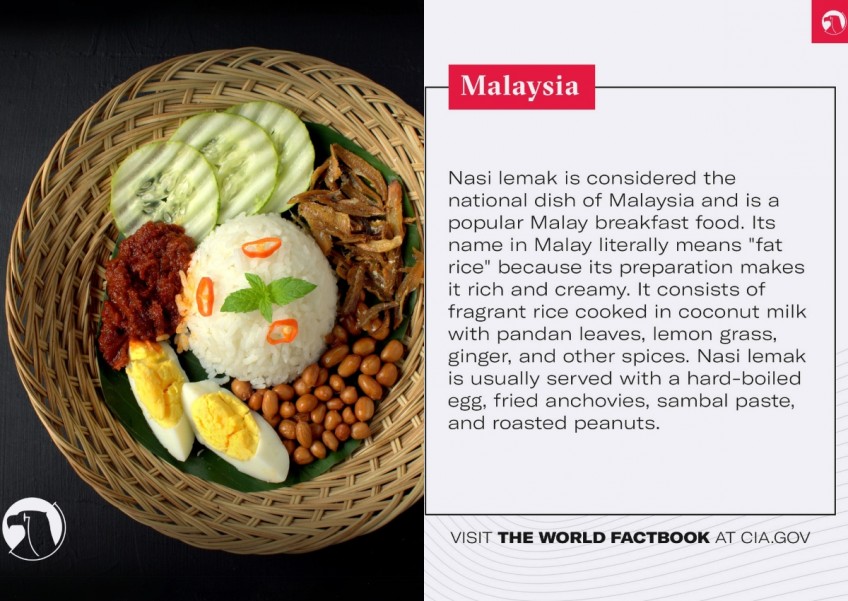 CIA's Facebook post about nasi lemak amuses Malaysians: 'Dangerous food if you're on a mission'