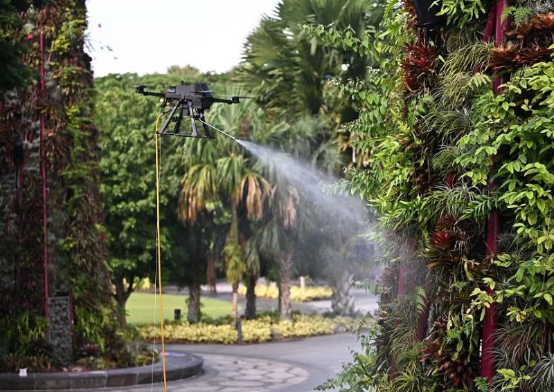 Clean and green: Drones hose down Supertrees, water and fertilise plants at Gardens by the Bay