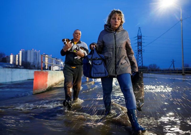 'We're like Noah's ark', says animal shelter in flooded Russian city