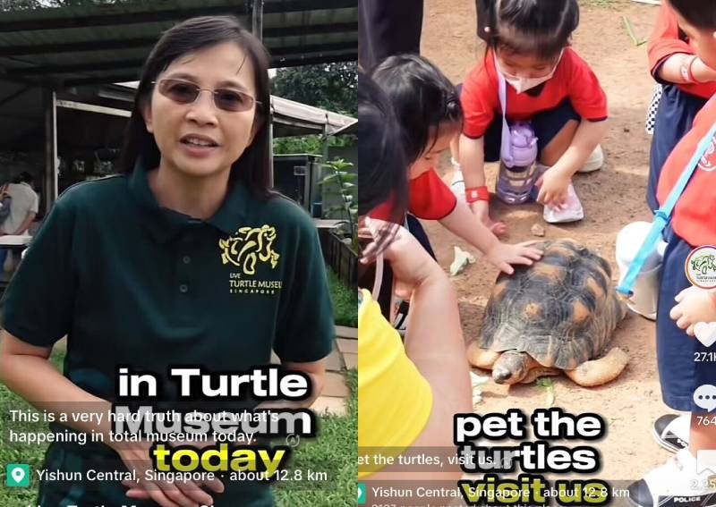 'We're in trouble this month': Owner of turtle museum in Yishun pleads for return of visitors