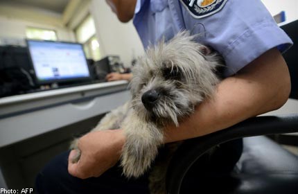 Beijing cop goes off the leash to rescue dogs 