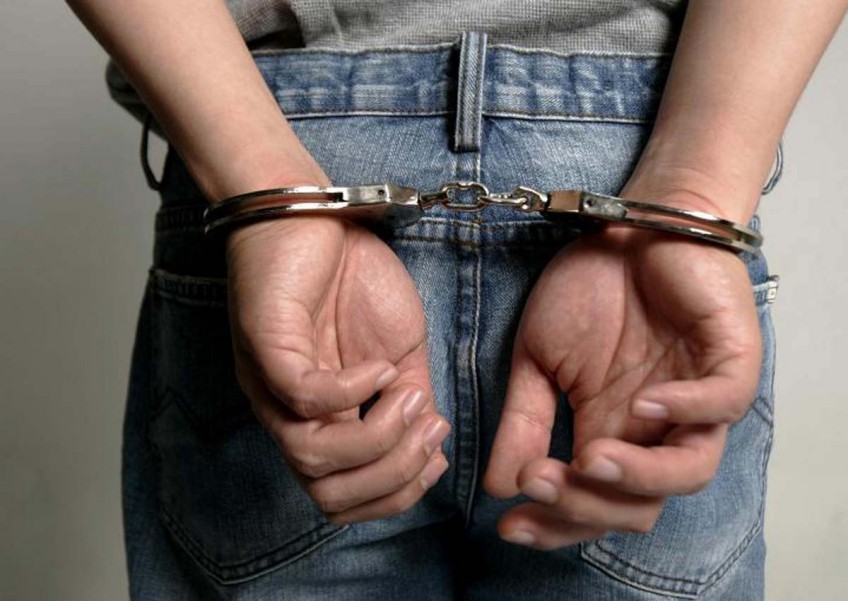 Maid jailed for stealing from employer