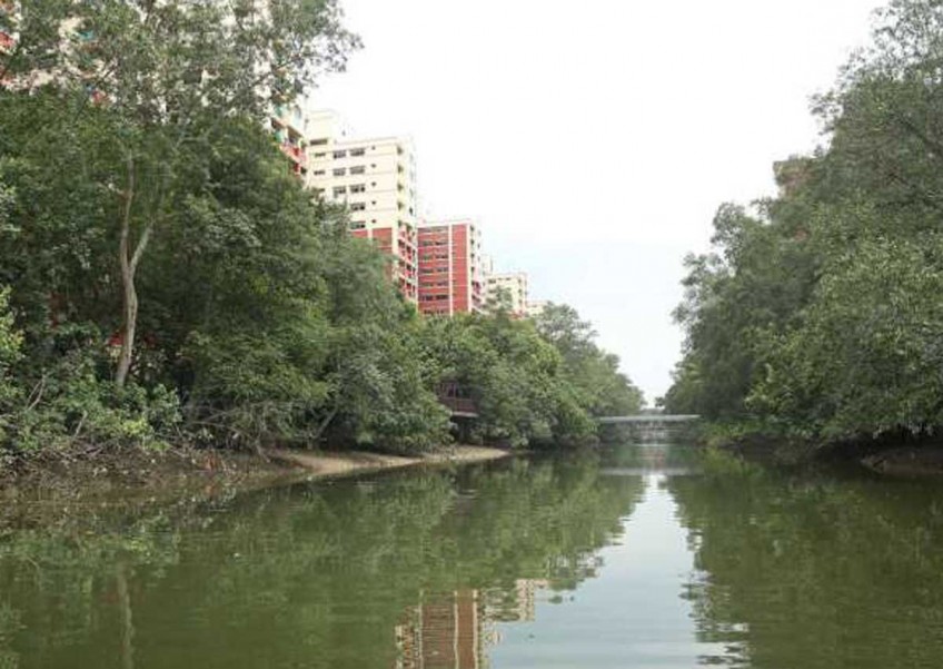 Man drowns in canal near Pasir Ris Park