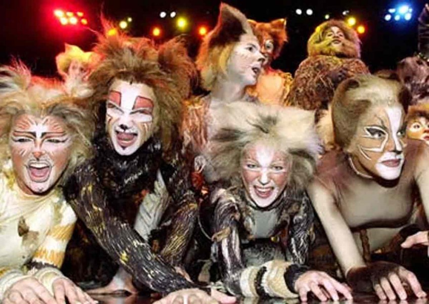 Andrew Lloyd Webber brings hit musical "Cats" back to Broadway