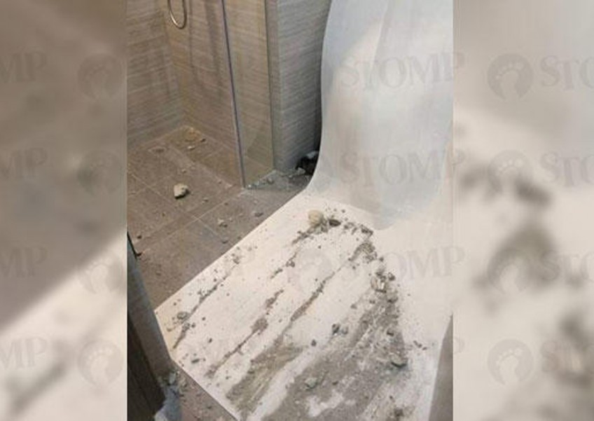Riverbank @ Fernvale resident in 'living nightmare' after ceiling 'rains' rocks and debris
