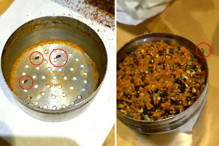 Diner finds crawling bugs in spice powder at a Wisma Atria restaurant