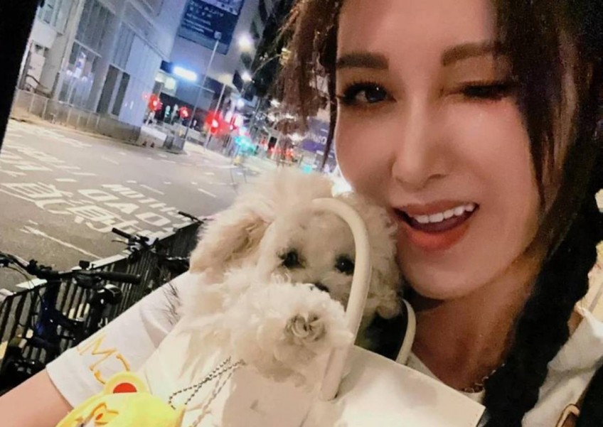 Hong Kong actress Rain Lee brings dog out for walk in Hermes Birkin bag