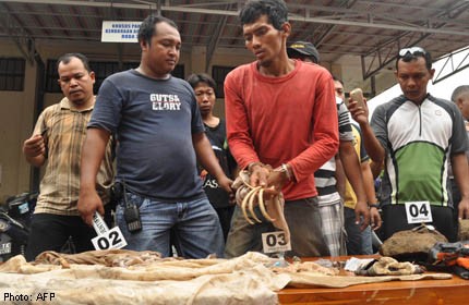 Indonesian 'robbed graves for black-magic flying spell'