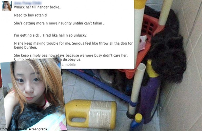 Cosplay shop owner posts photo after hitting dog till hanger broke