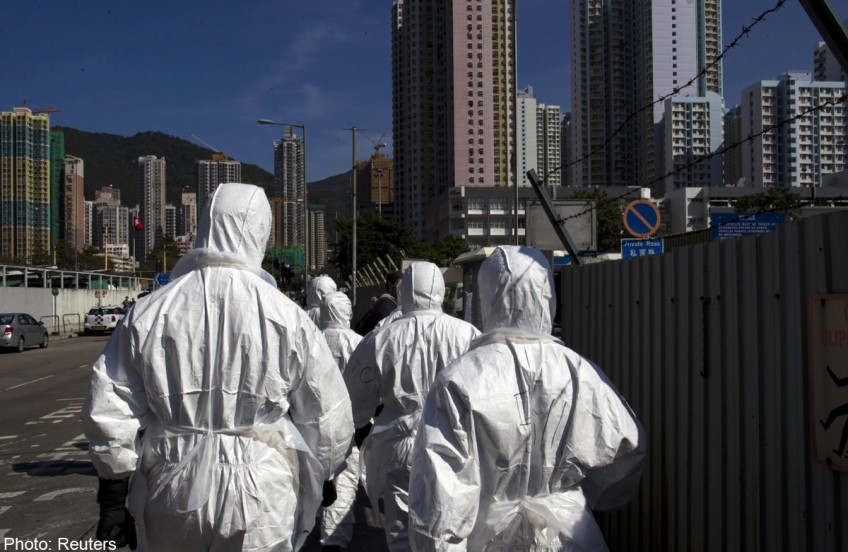 Hong Kong culls chickens, suspends imports after H7 bird flu found