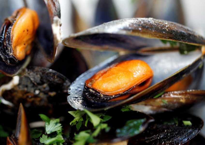 Plastic found in mussels from Arctic to China enters human food