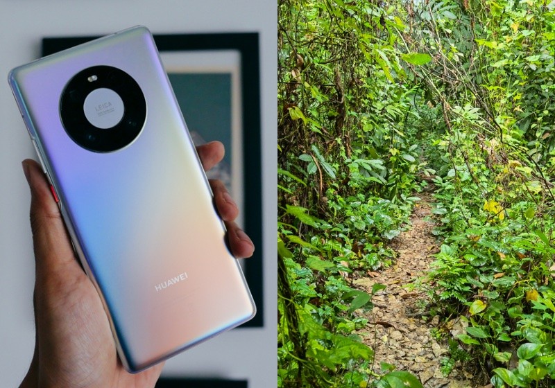 Journeying into Clementi Forest with a Huawei Mate 40 Pro