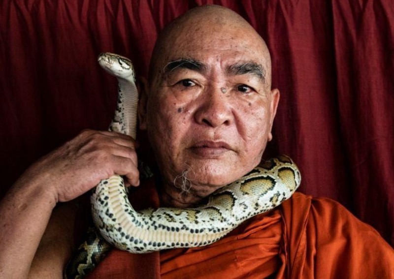 Myanmar monk offers temple sanctuary for threatened snakes