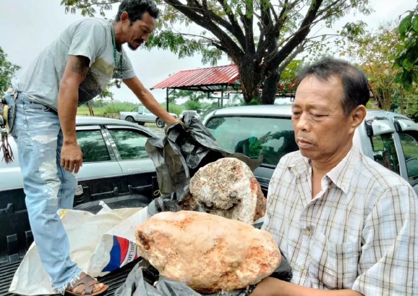 Million dollar vomit: Thai man offered $4.2m for whale vomit he found