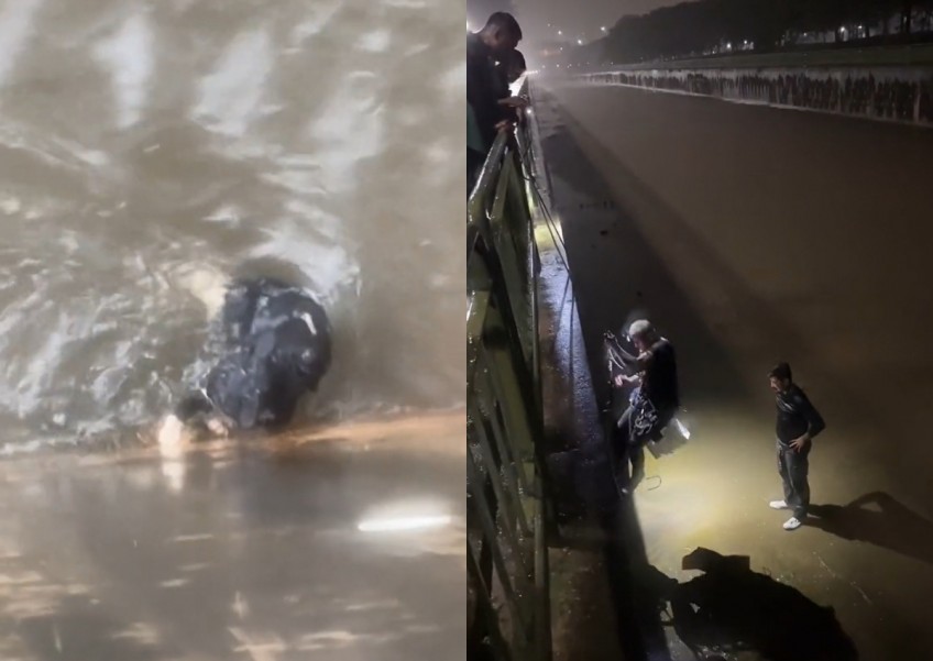 This made my day: Men brave heavy rain to rescue cat stuck in Bedok canal