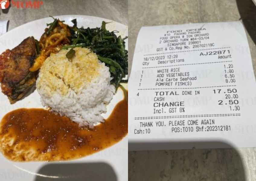 'Why so expensive': Diner shocked at being charged $17.90 for nasi padang at Ion Orchard food court