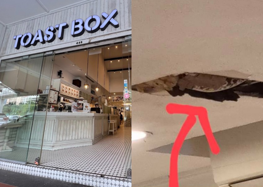 Snake in the ceiling? Toast Box diners startled by alleged appearance of large python