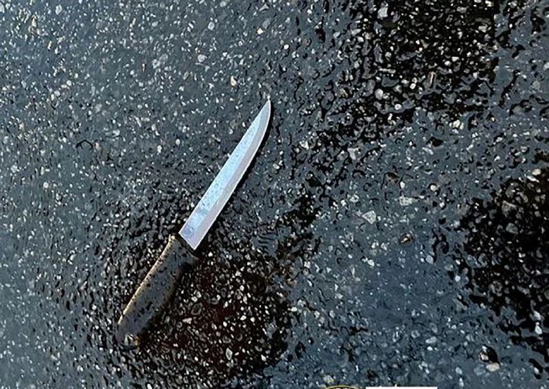 Man stabs 4 to death in New York, police shoot him dead