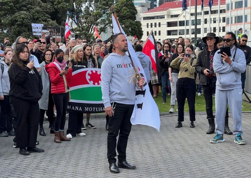 New Zealanders gather across country to protest new policies