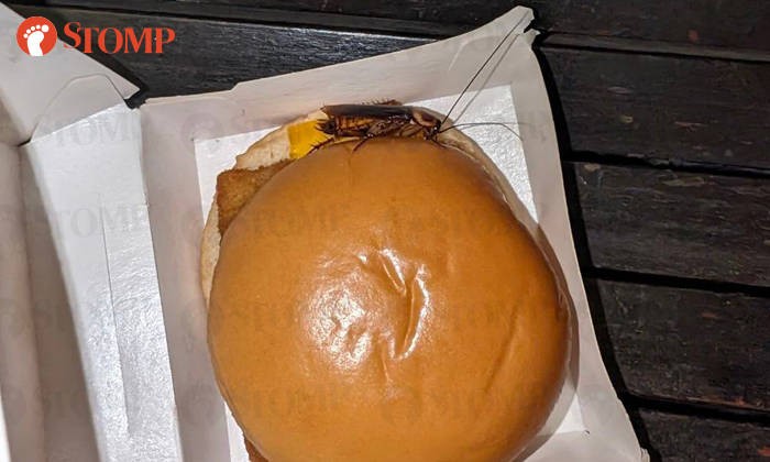 Customer finds cockroach in McDonald's burger, explains it couldn't have entered after food was bought