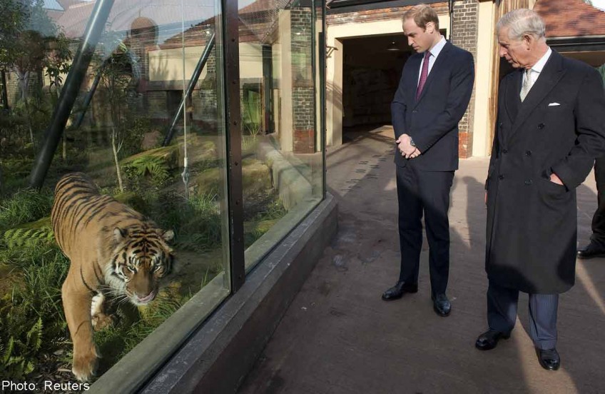 Royals urge end to wildlife trade in video
