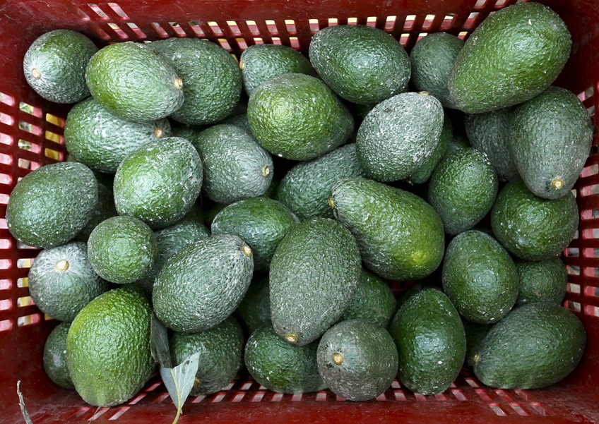 Australian avocado prices soar as supply goes pear-shaped