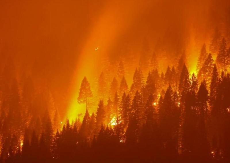 Extreme wildfires expected to increase 30% by 2050: Study