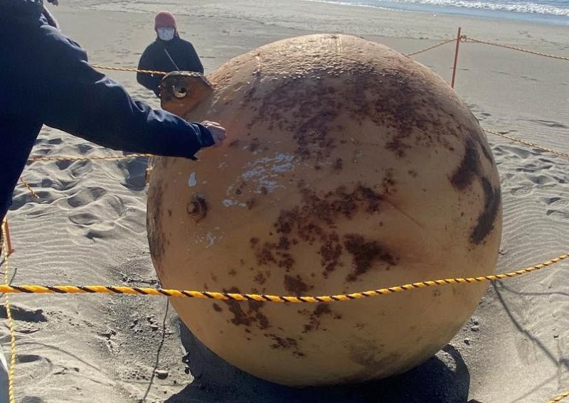 Godzilla egg? Japan baffled by large sphere washed up on its shores
