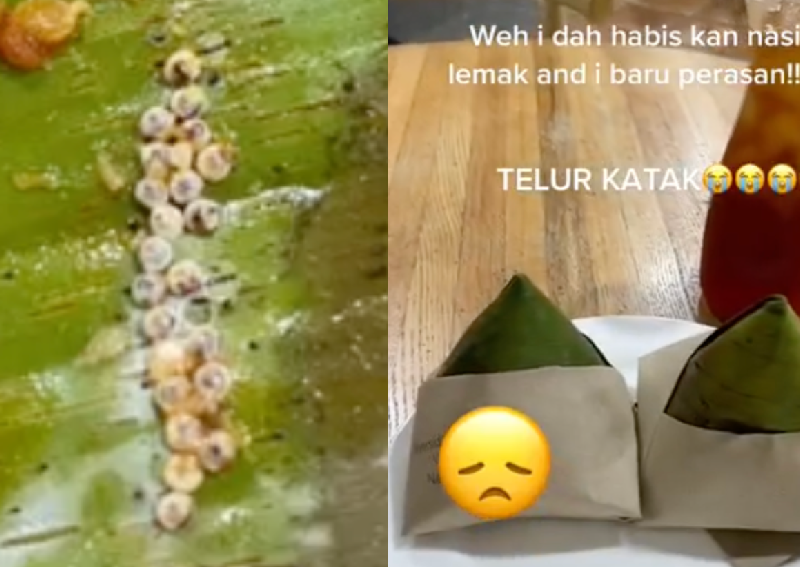 'I thought it was food': Diner discovers frog eggs in her nasi lemak in Malaysia 