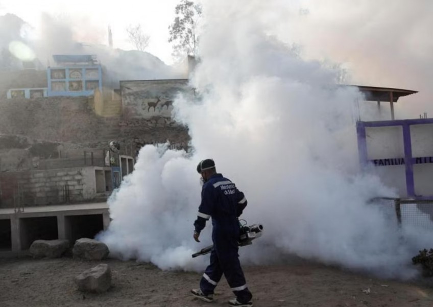 Peru declares health emergency as dengue outbreak 'imminent'