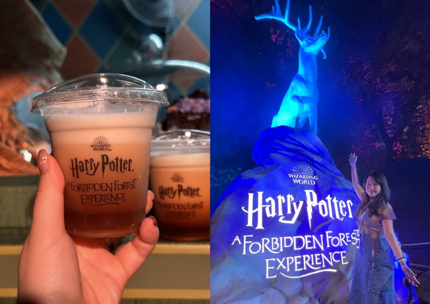 I visited the Harry Potter: A Forbidden Forest Experience, here's whether I think it's worth paying up to $85 for a ticket