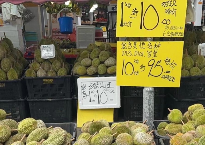 'Falling from the tree every day': Musang King hits $10 per kg thanks to bumper crop
