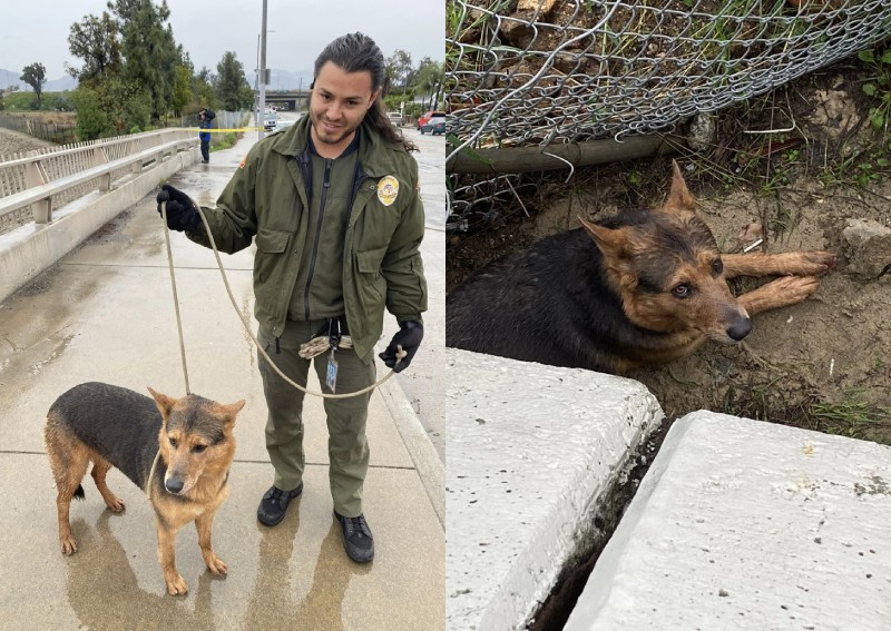 Man, dog safe after helicopter rescue amid Los Angeles floods