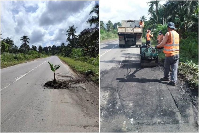 'I feel sorry for road users': Malaysian man places banana tree in pothole to get authorities to repair road