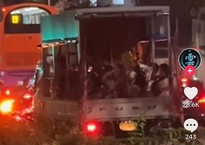 'Not lion dance but lion sing': Troupe gives rousing performance on back of pickup truck, warms netizens' hearts