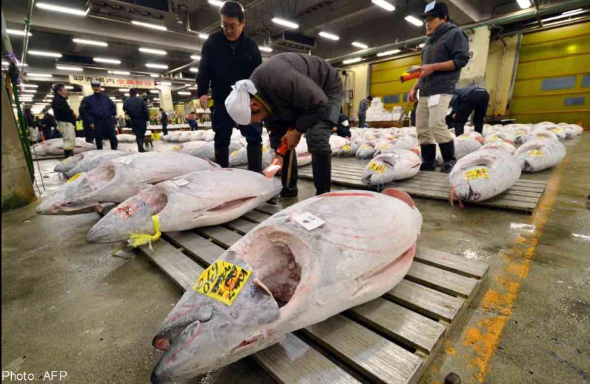 World's biggest fish market set for new home