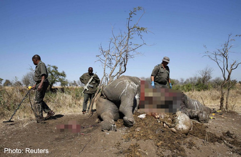 S African rangers kill two rhino poachers in Kruger National Park